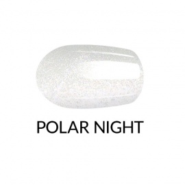 POLAR NIGHT