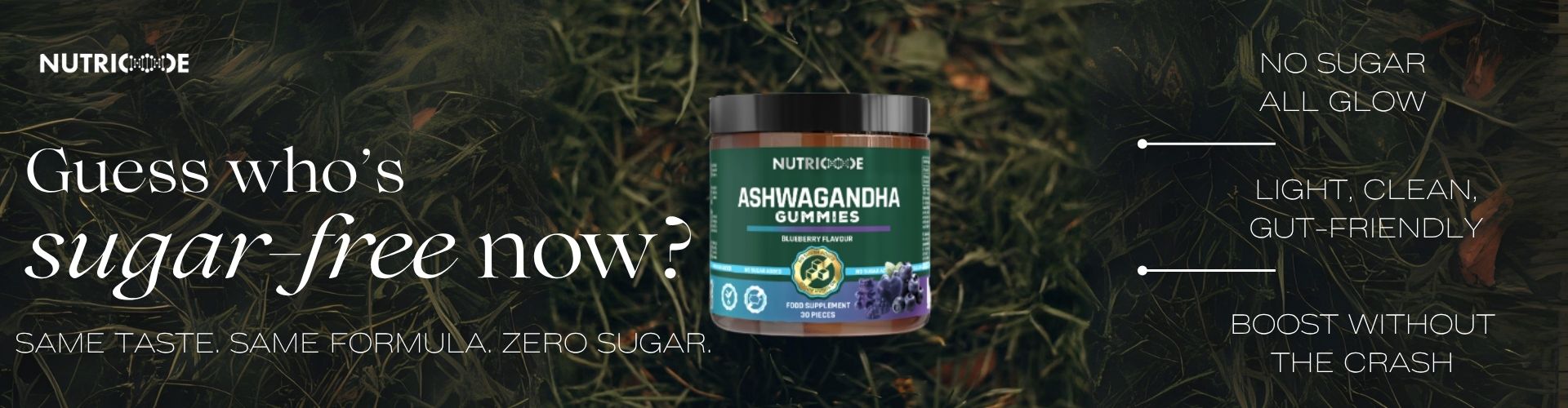 SUGAR FREE GUMMIES